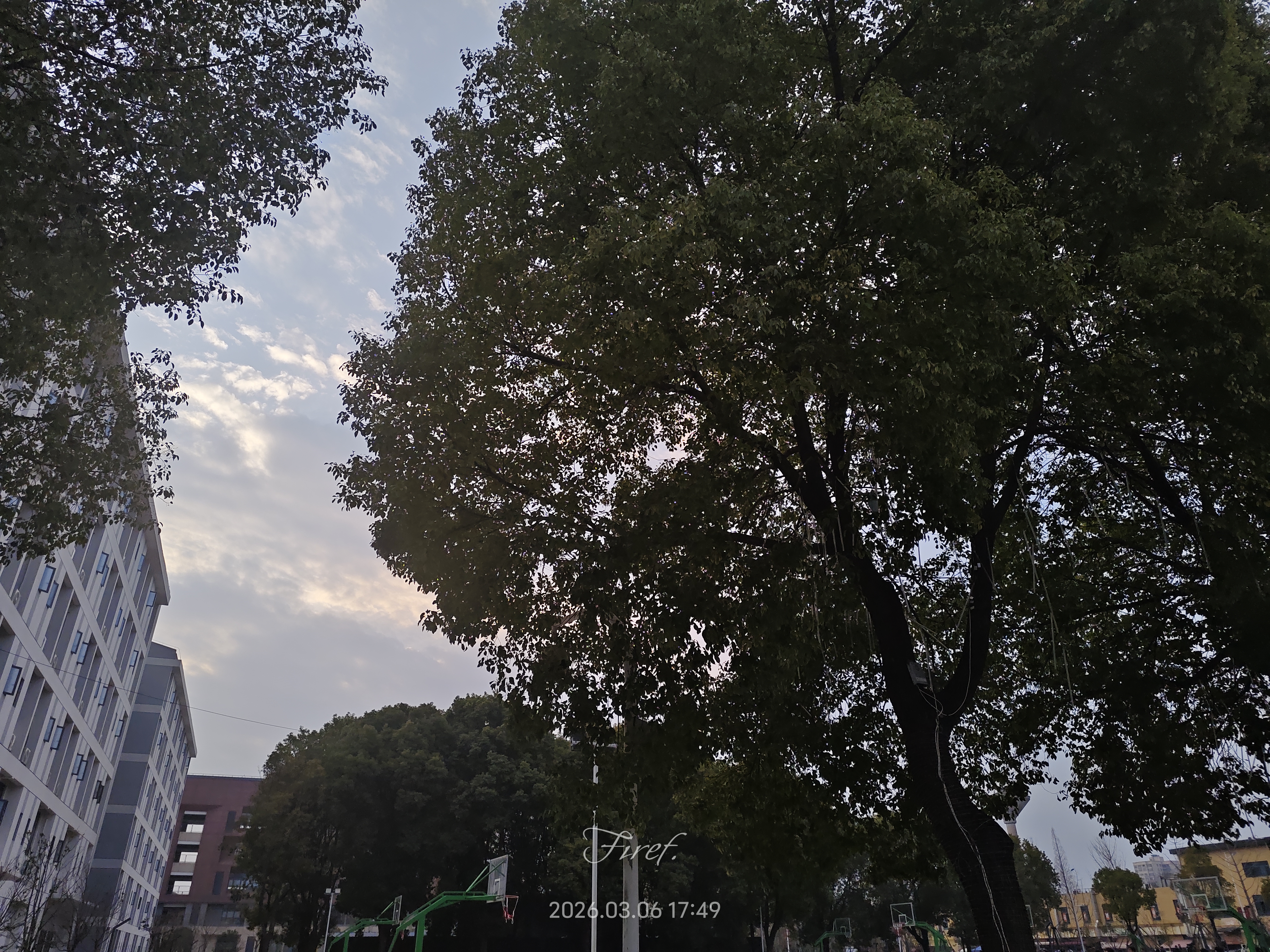 IMG_20260306_174959.jpg