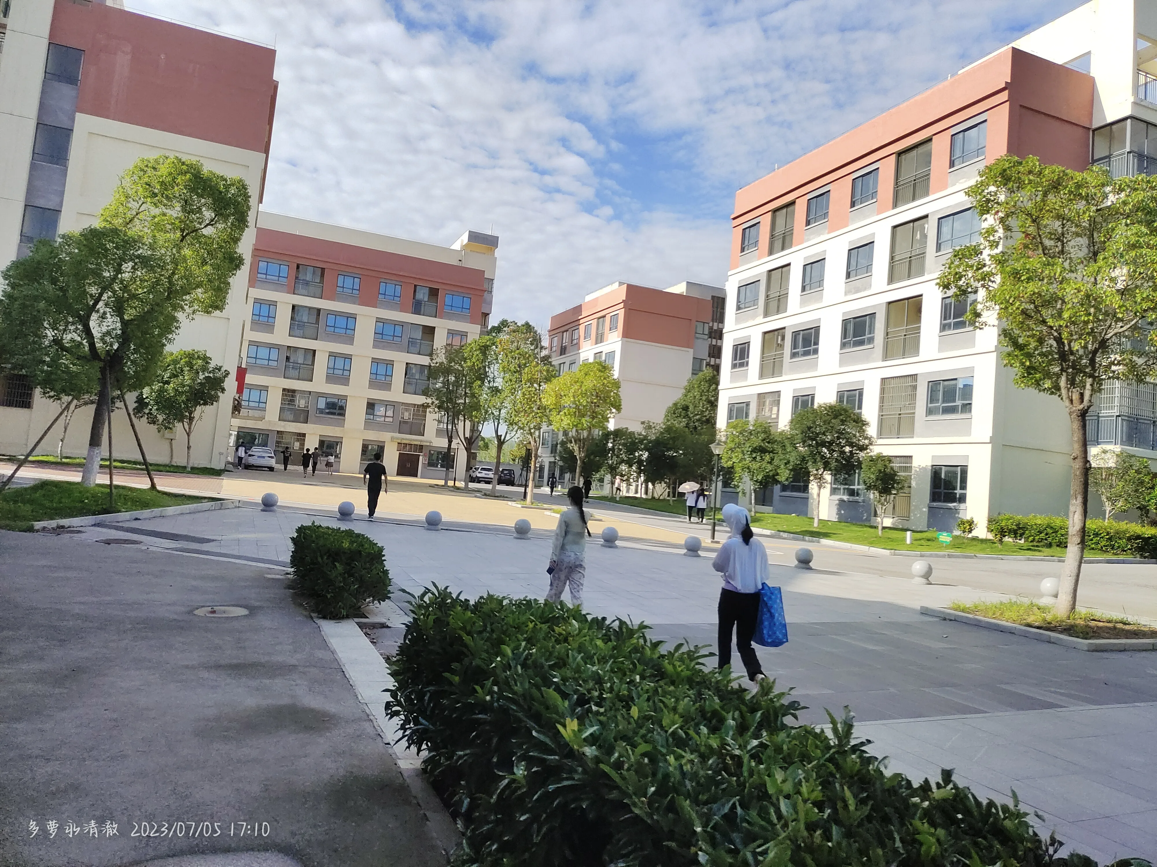 IMG_20230705_171023.webp