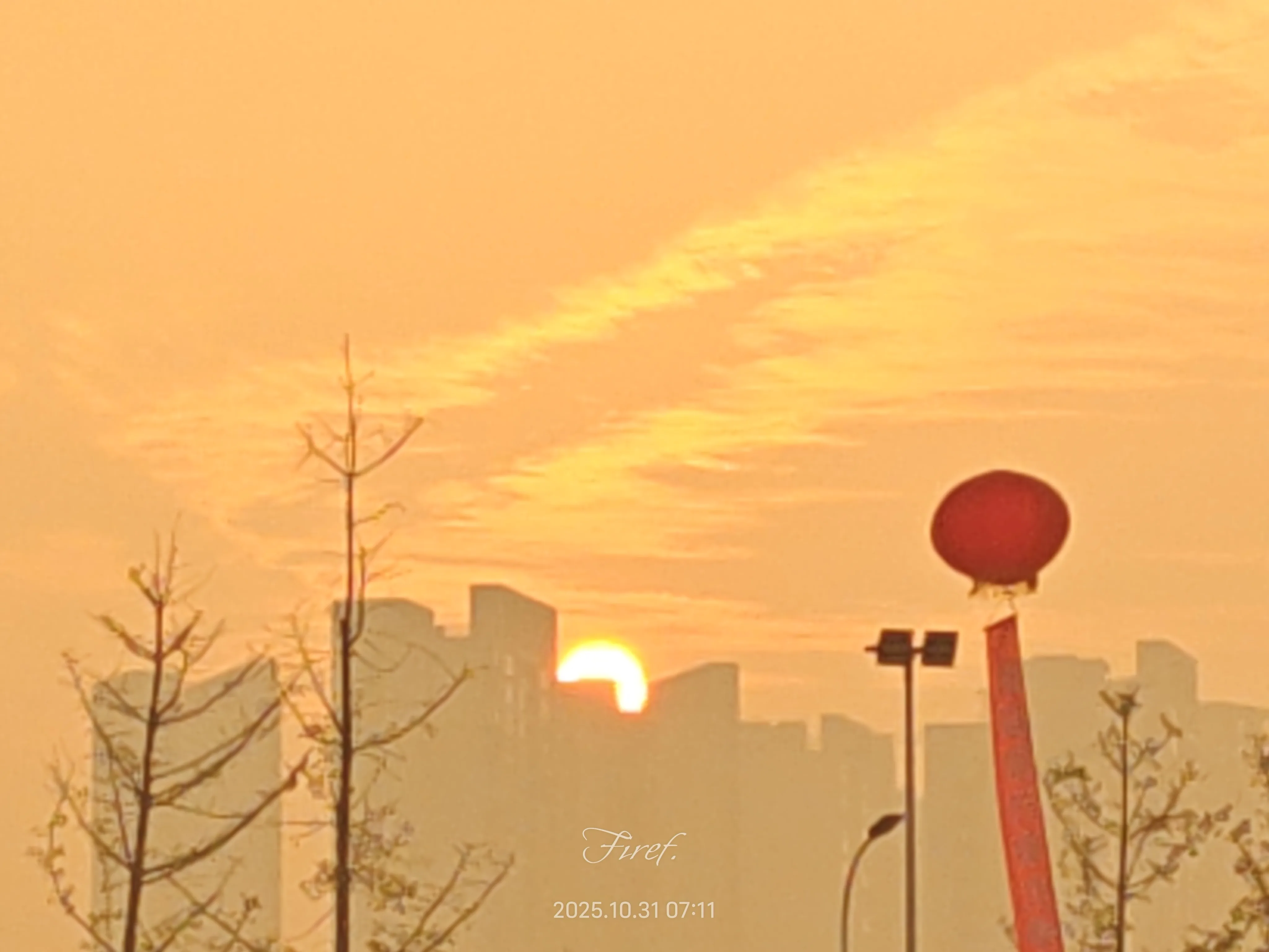 IMG_20251031_071105.webp