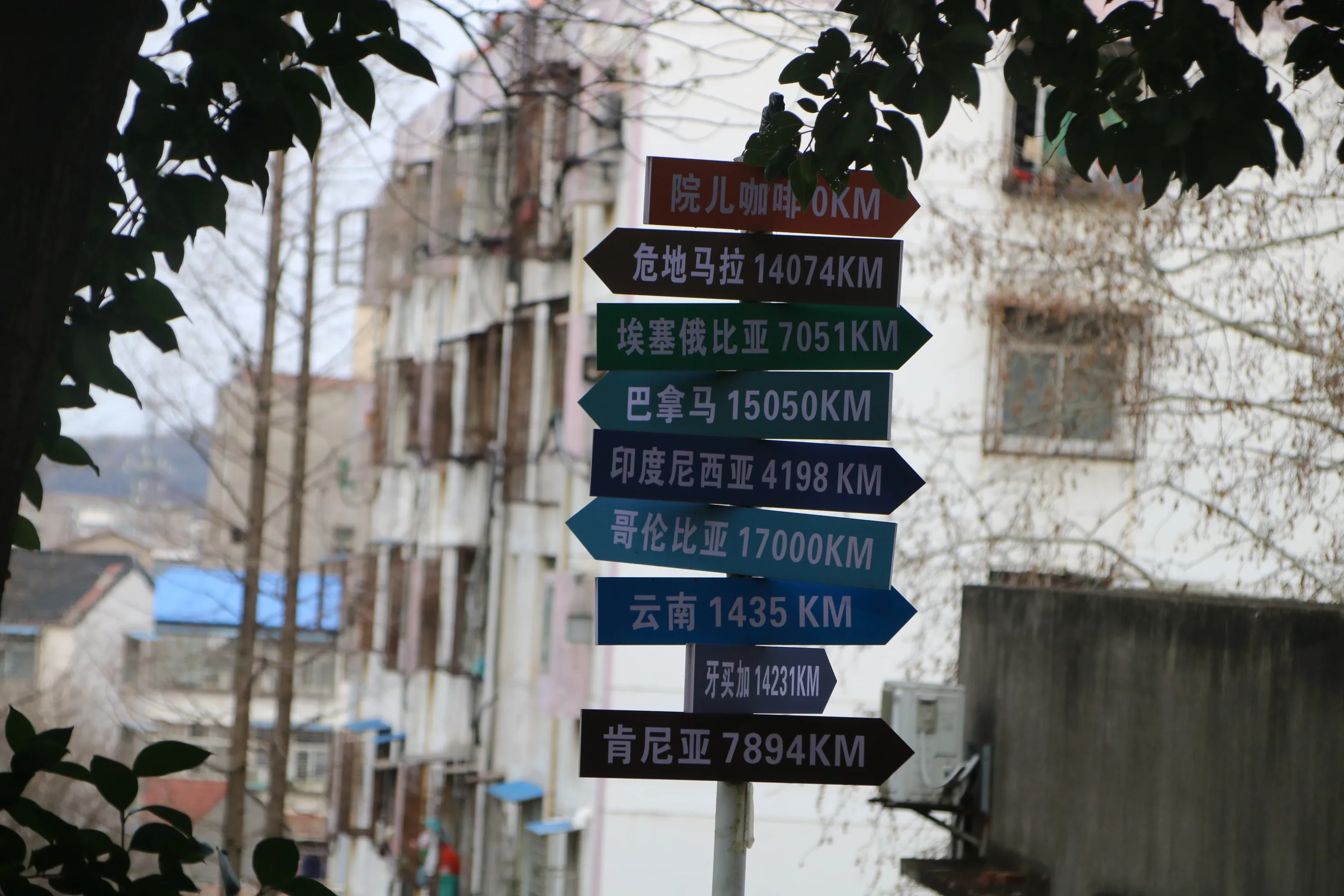 IMG_3318.webp