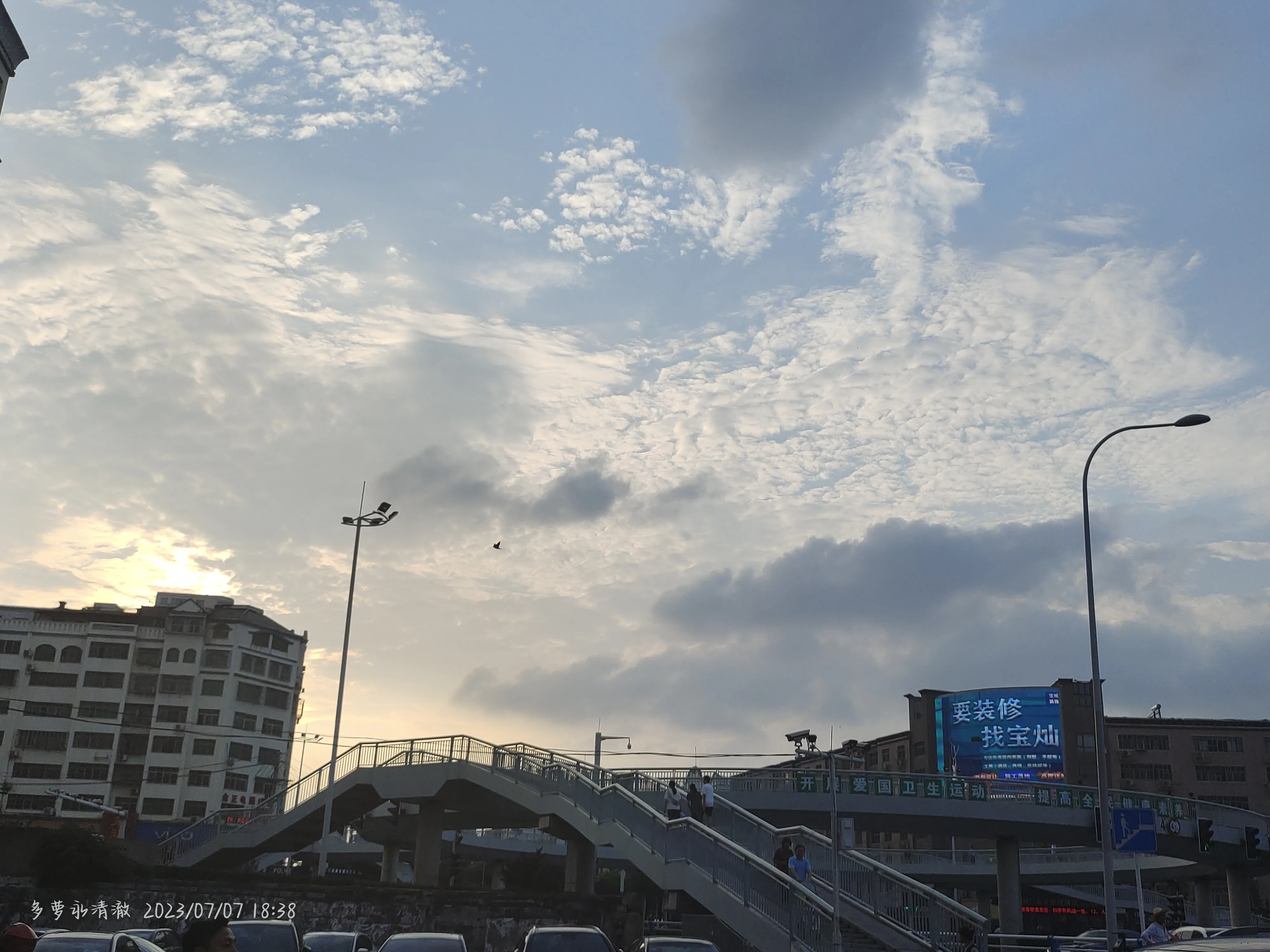IMG_20230707_183823.webp