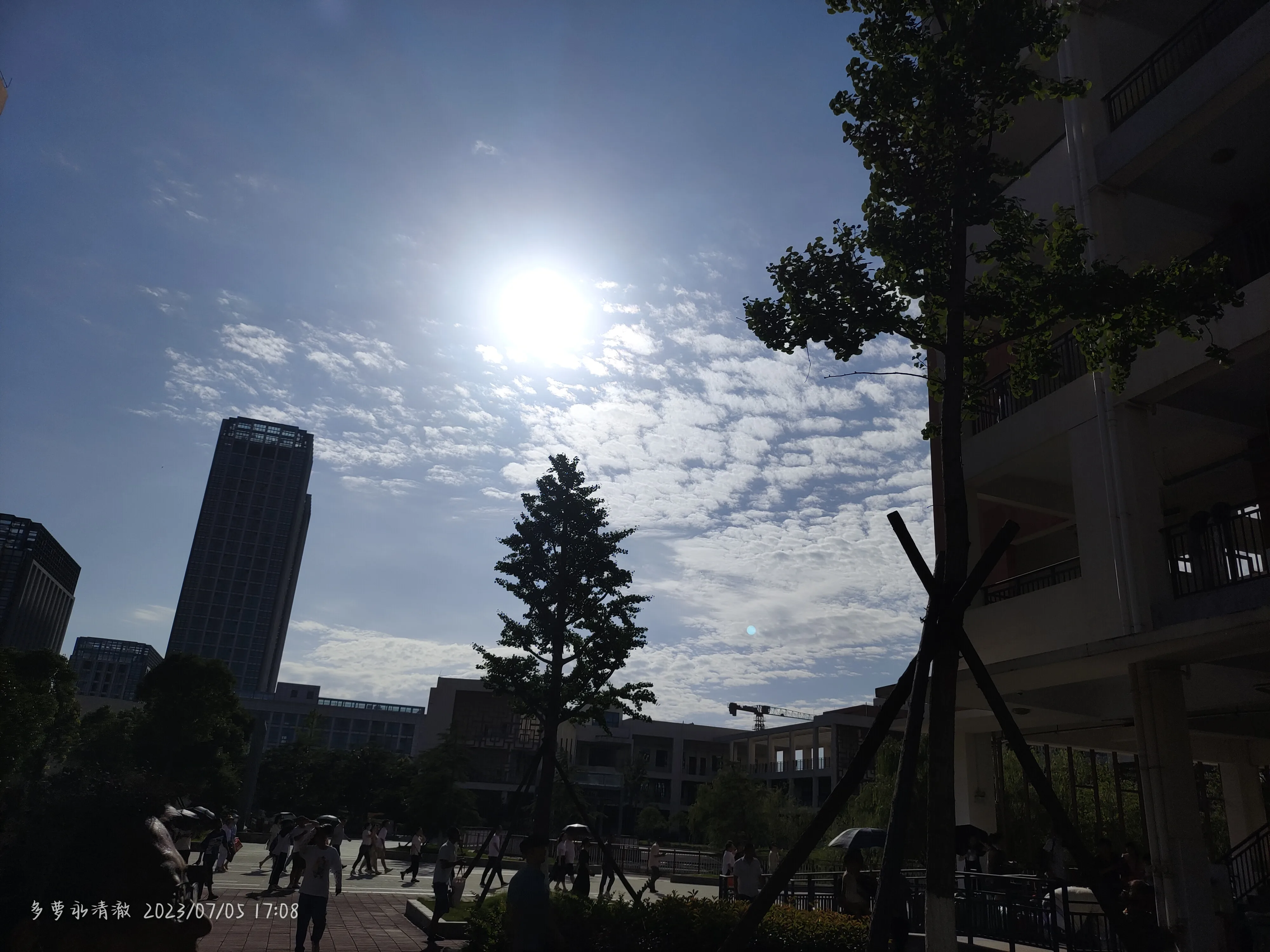 IMG_20230705_170808.webp