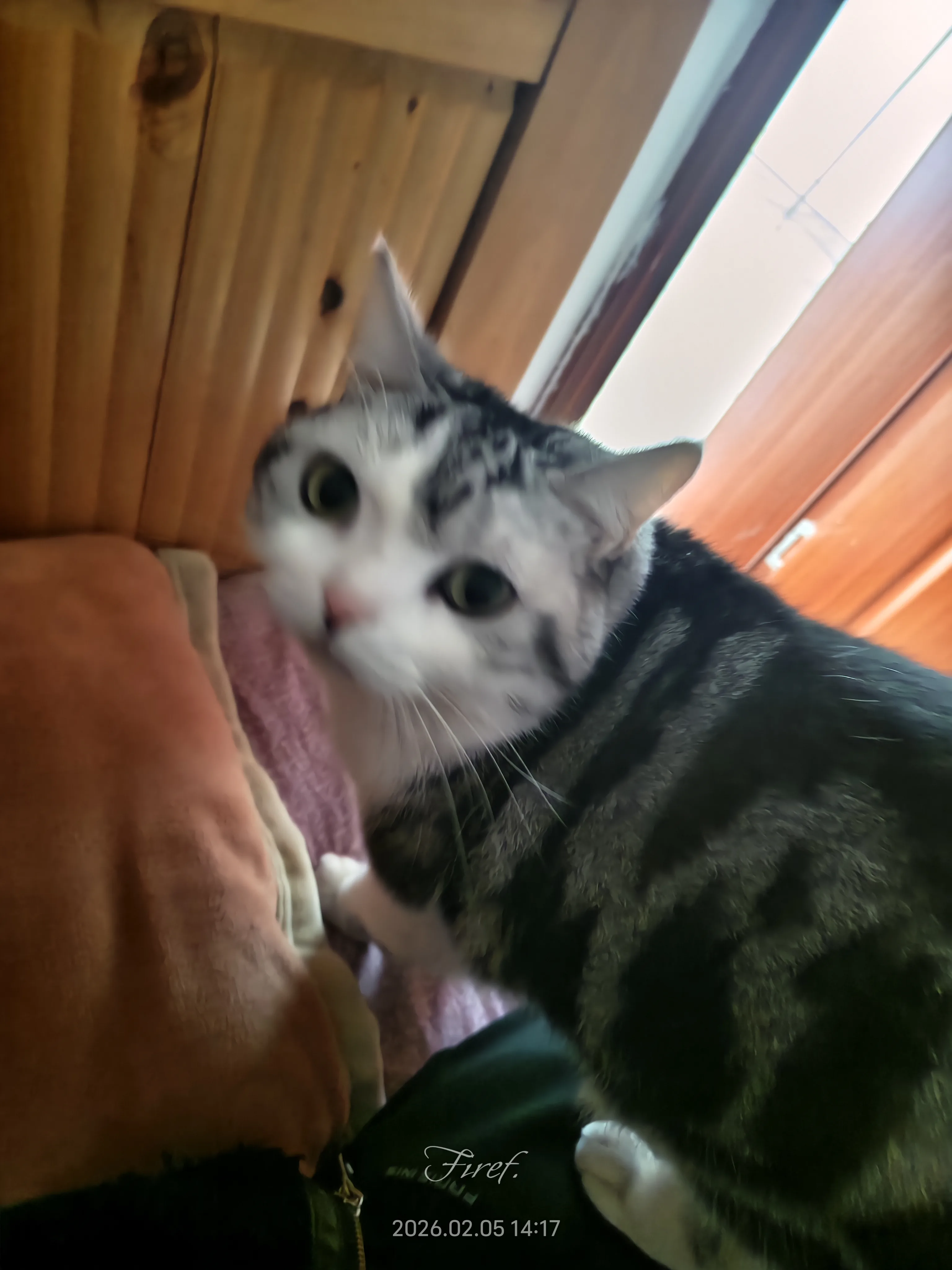 IMG_20260205_141756.webp