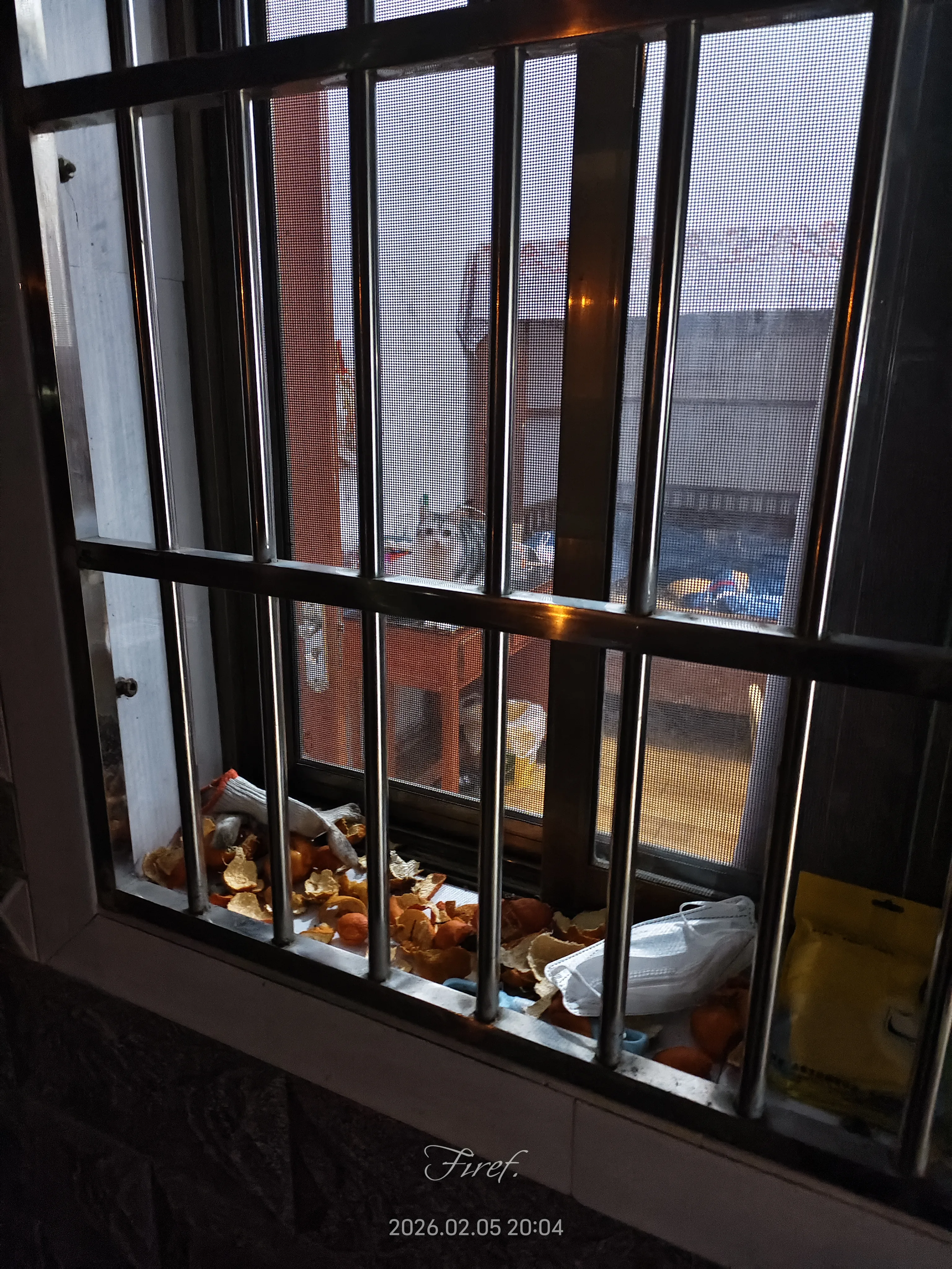 IMG_20260205_200402.webp