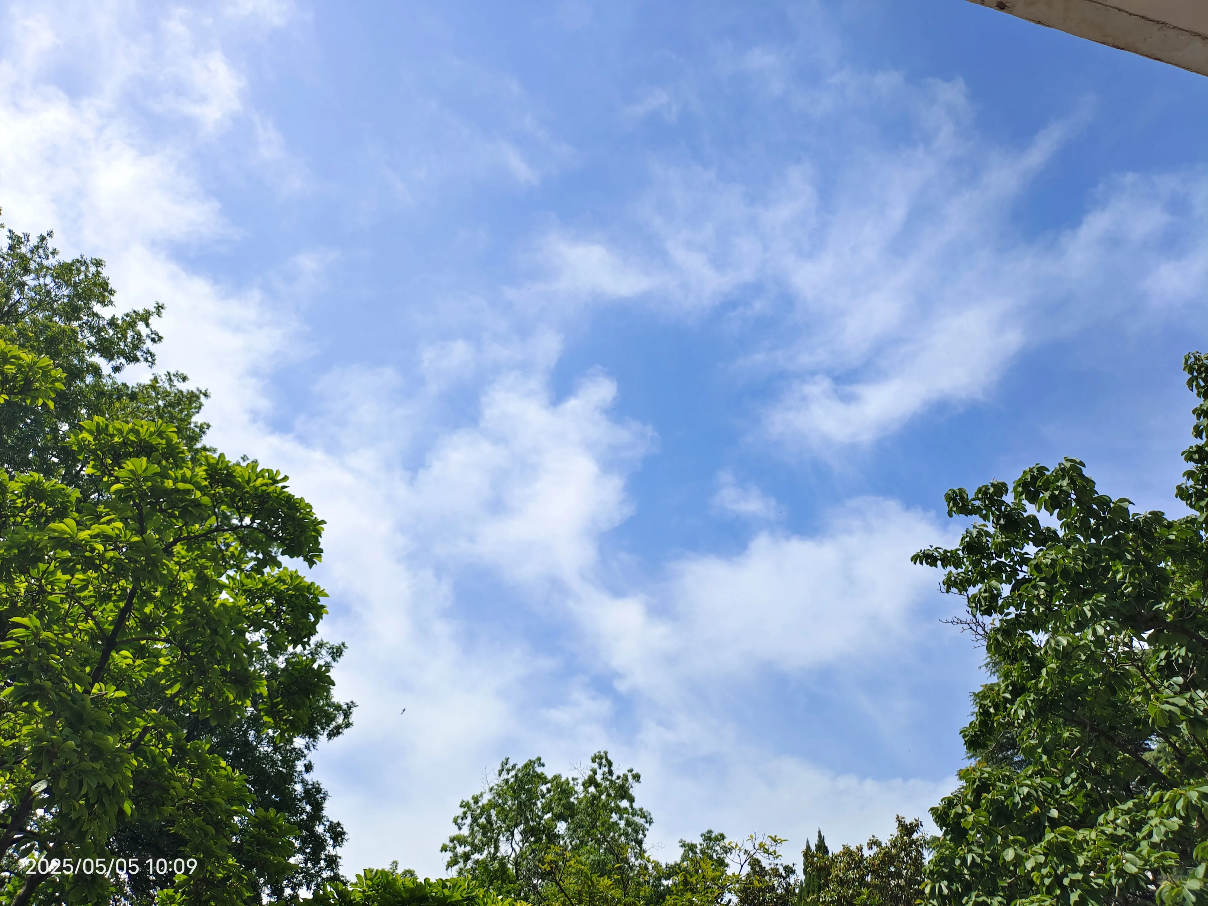 IMG_20250505_100926.webp