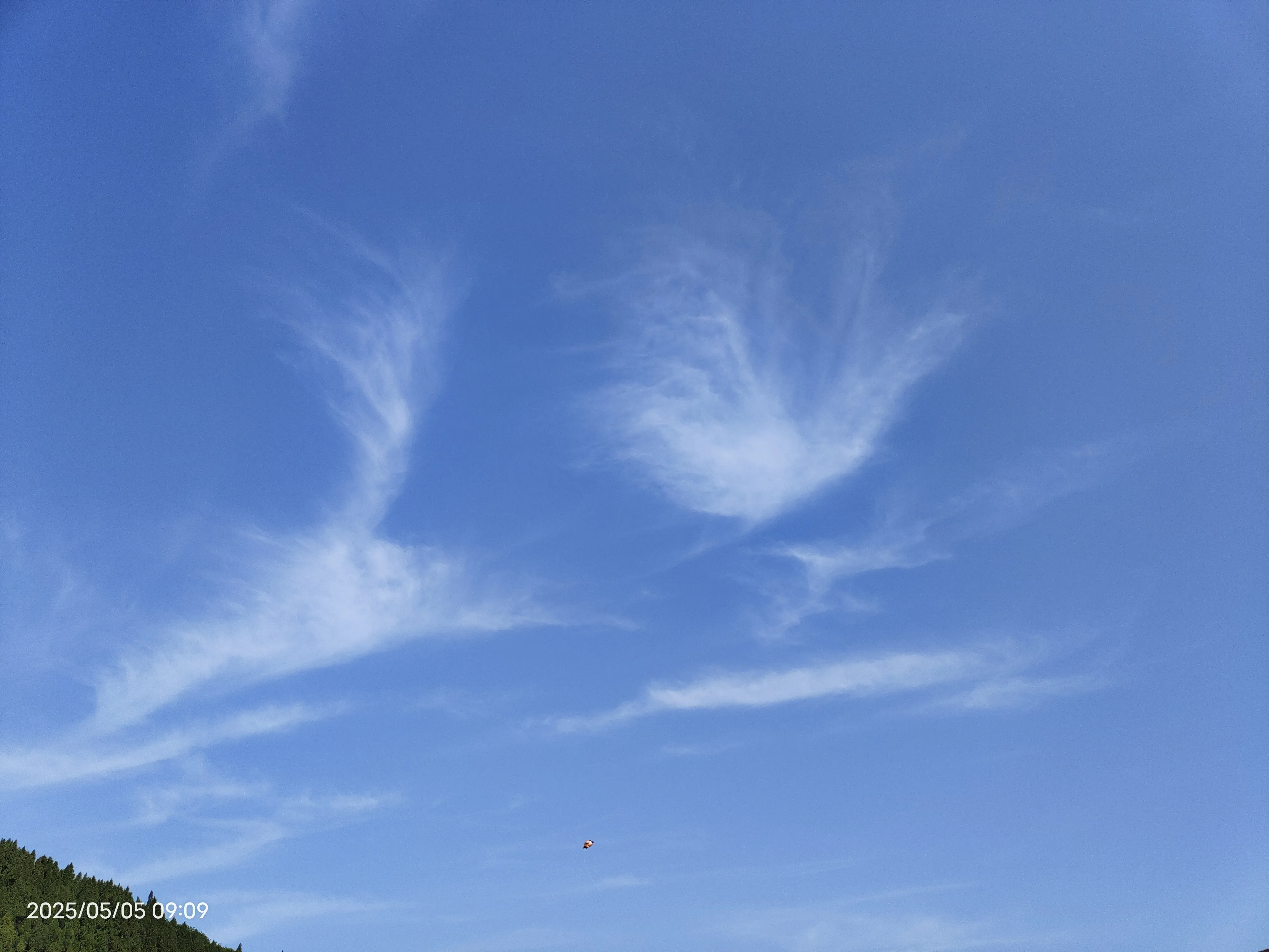 IMG_20250505_090927.webp