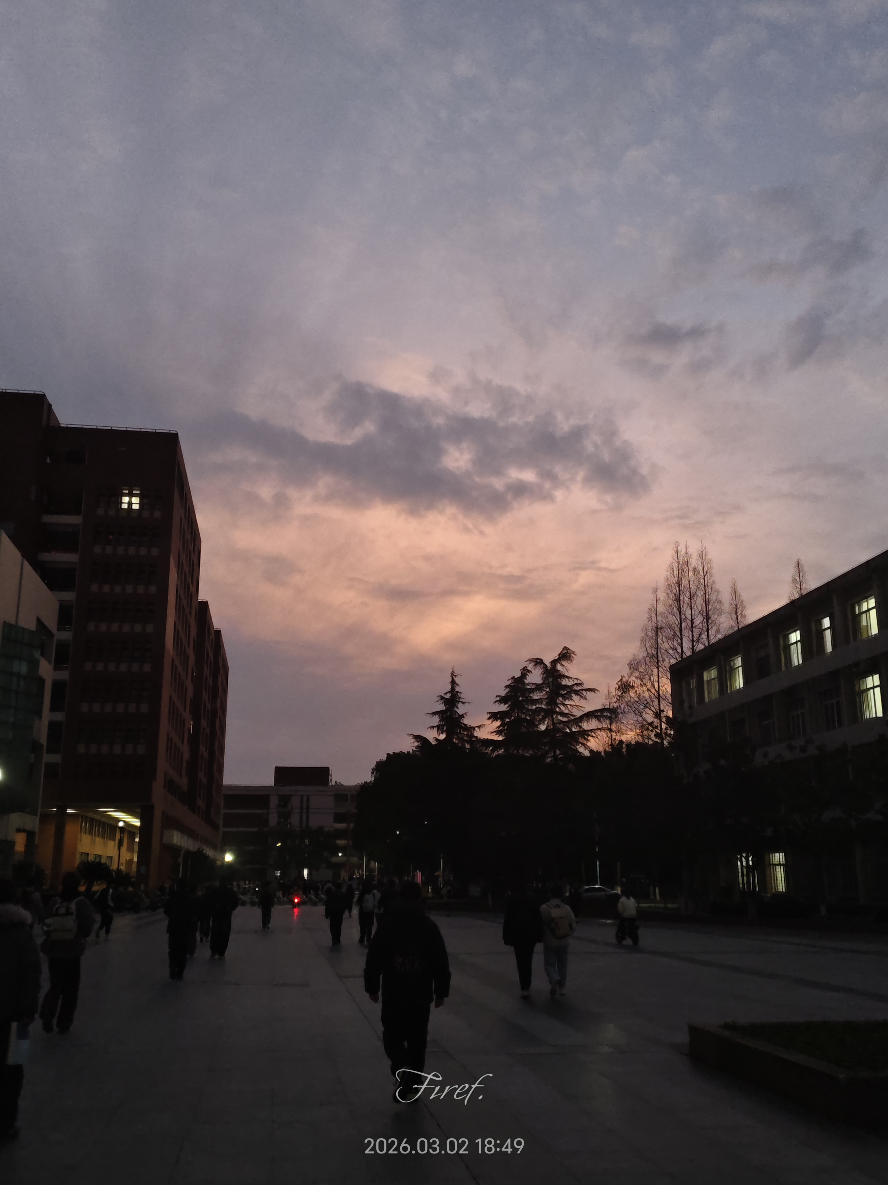 IMG_20260302_184913.jpg