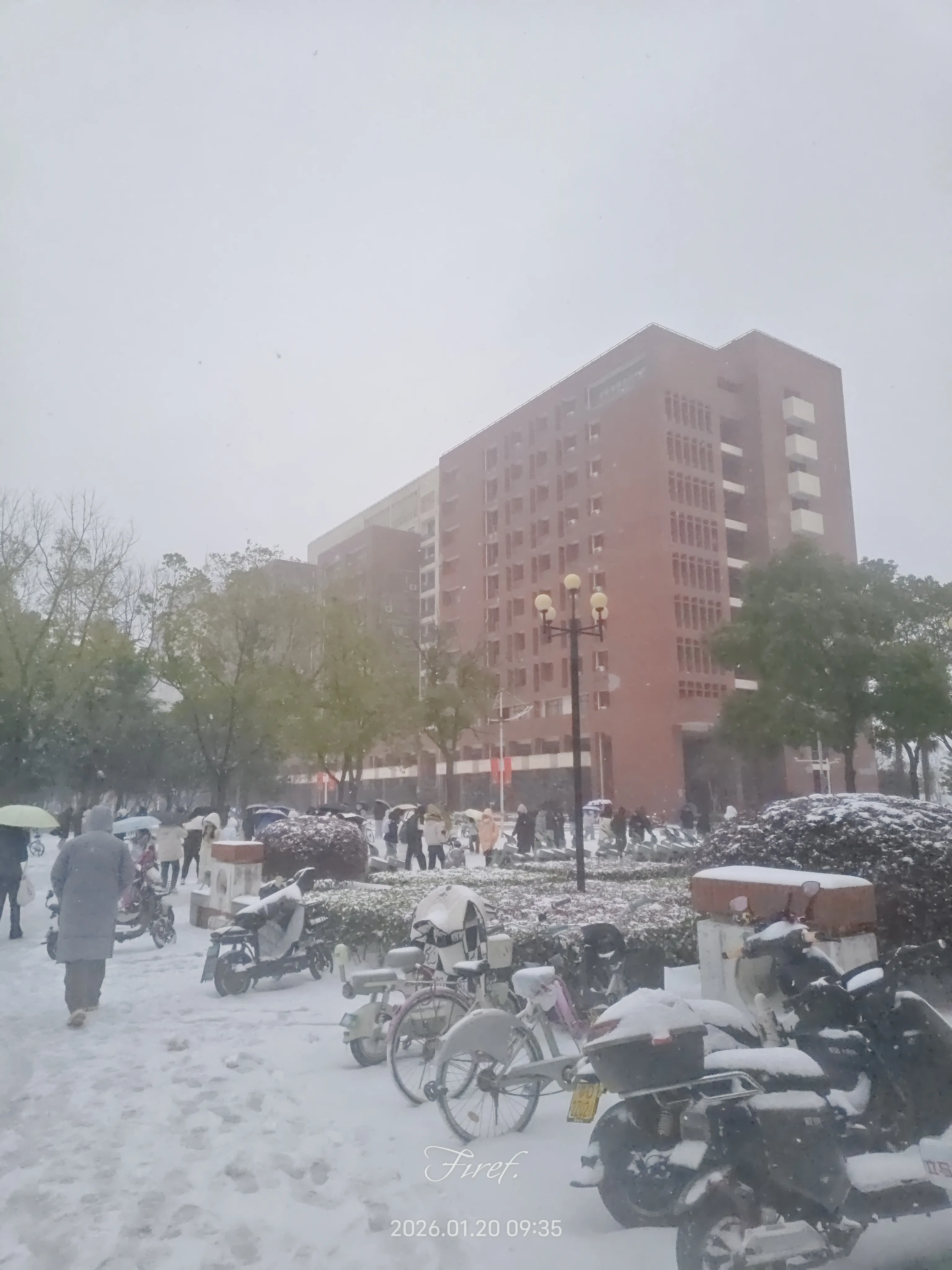 2026 年 1 月 20 日的日记配图 12