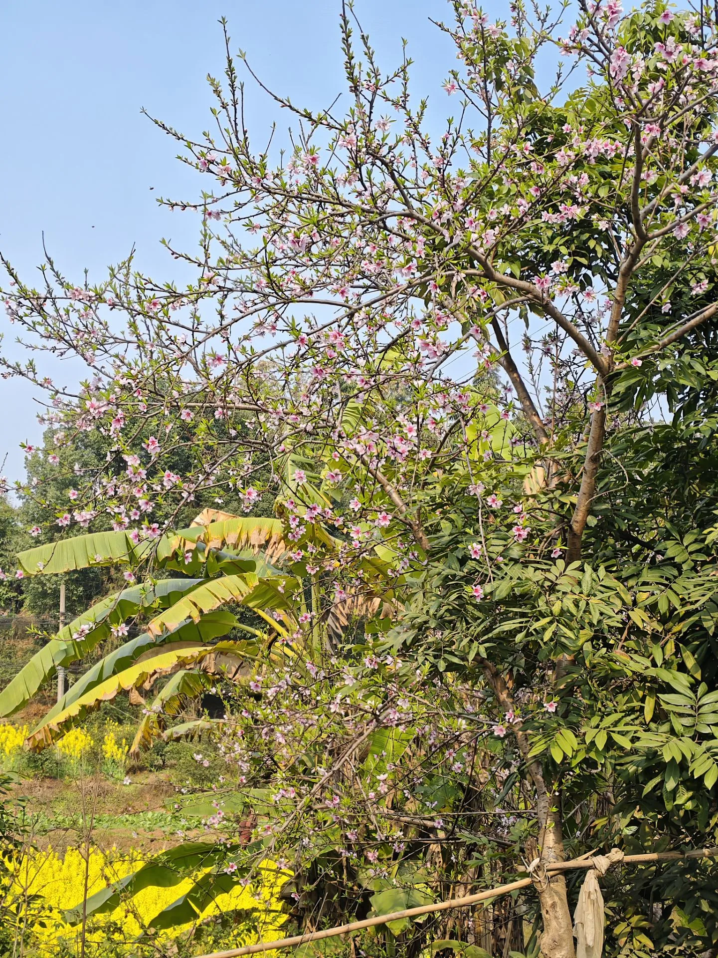Image_1771469117824_983.webp