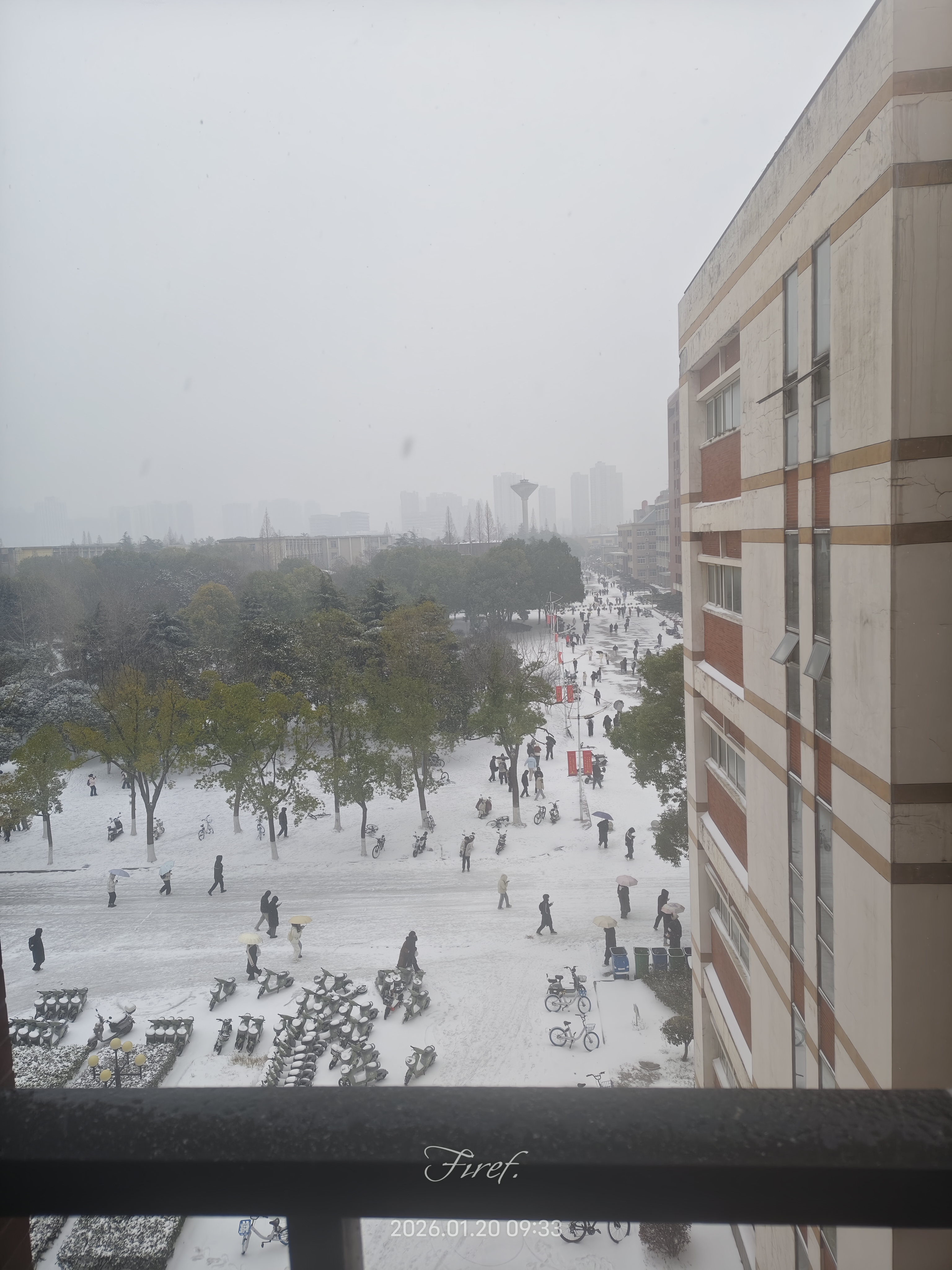 IMG_20260120_093302.jpg