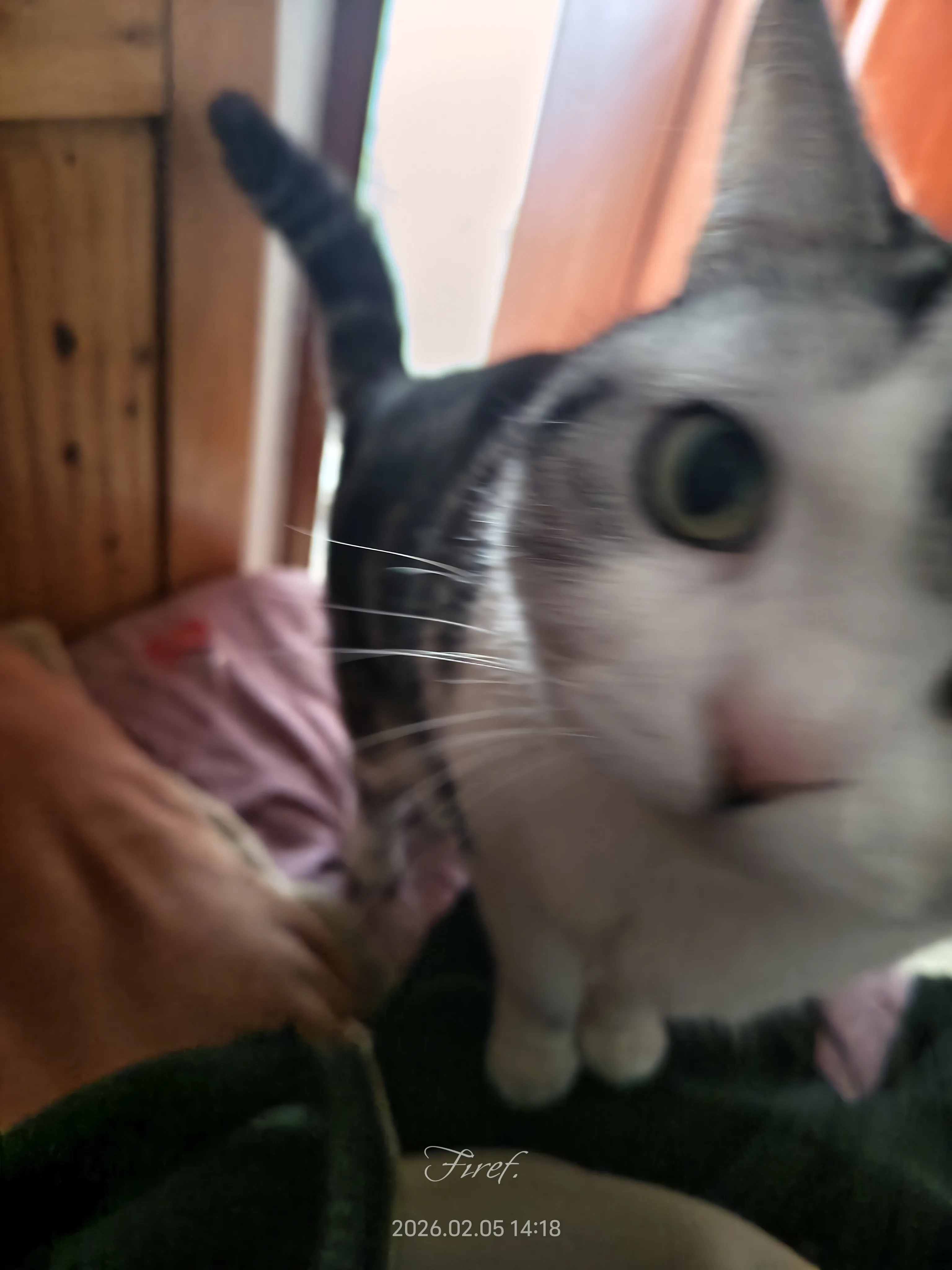 IMG_20260205_141813.webp