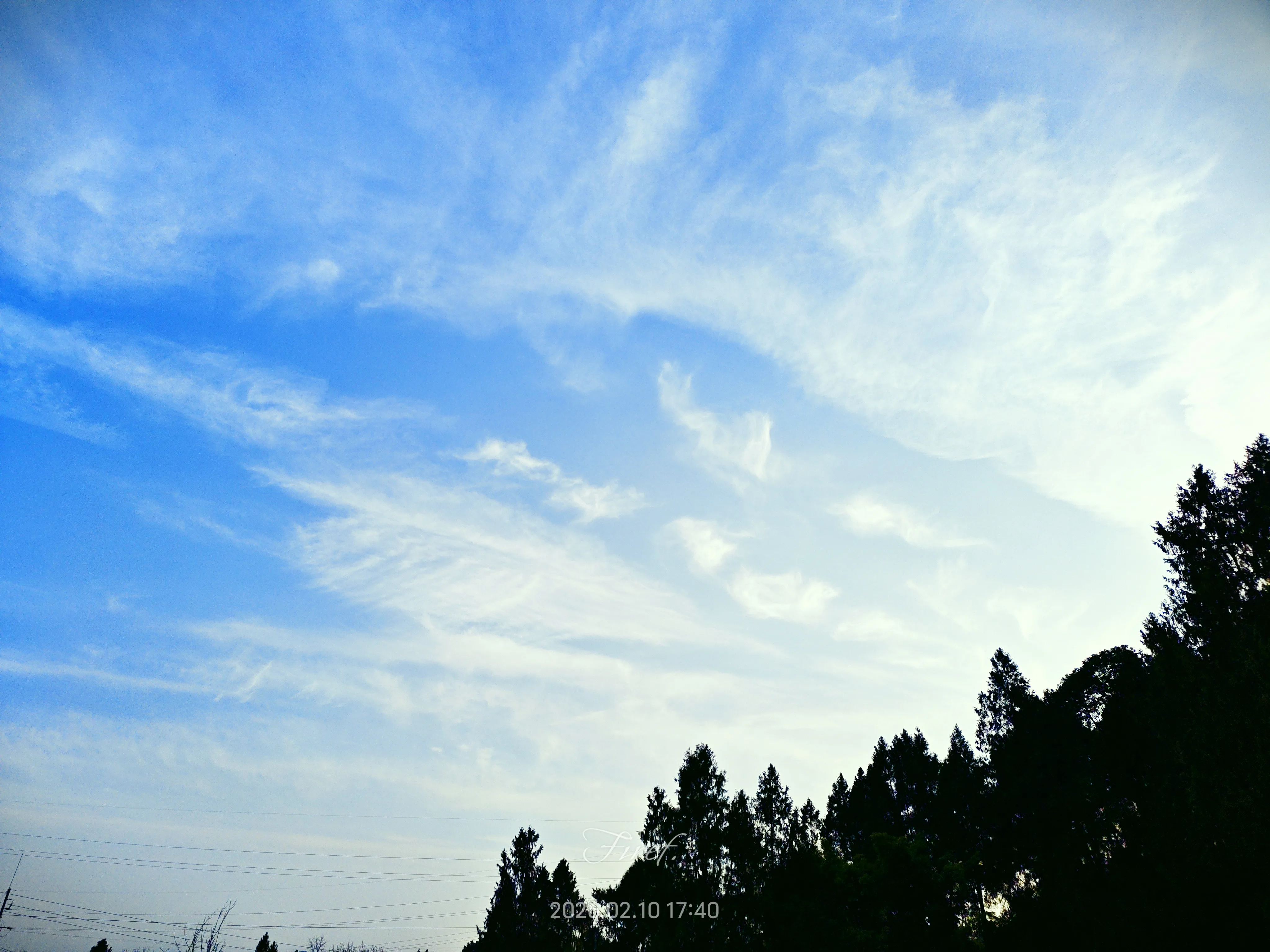 IMG_20260210_174304.webp