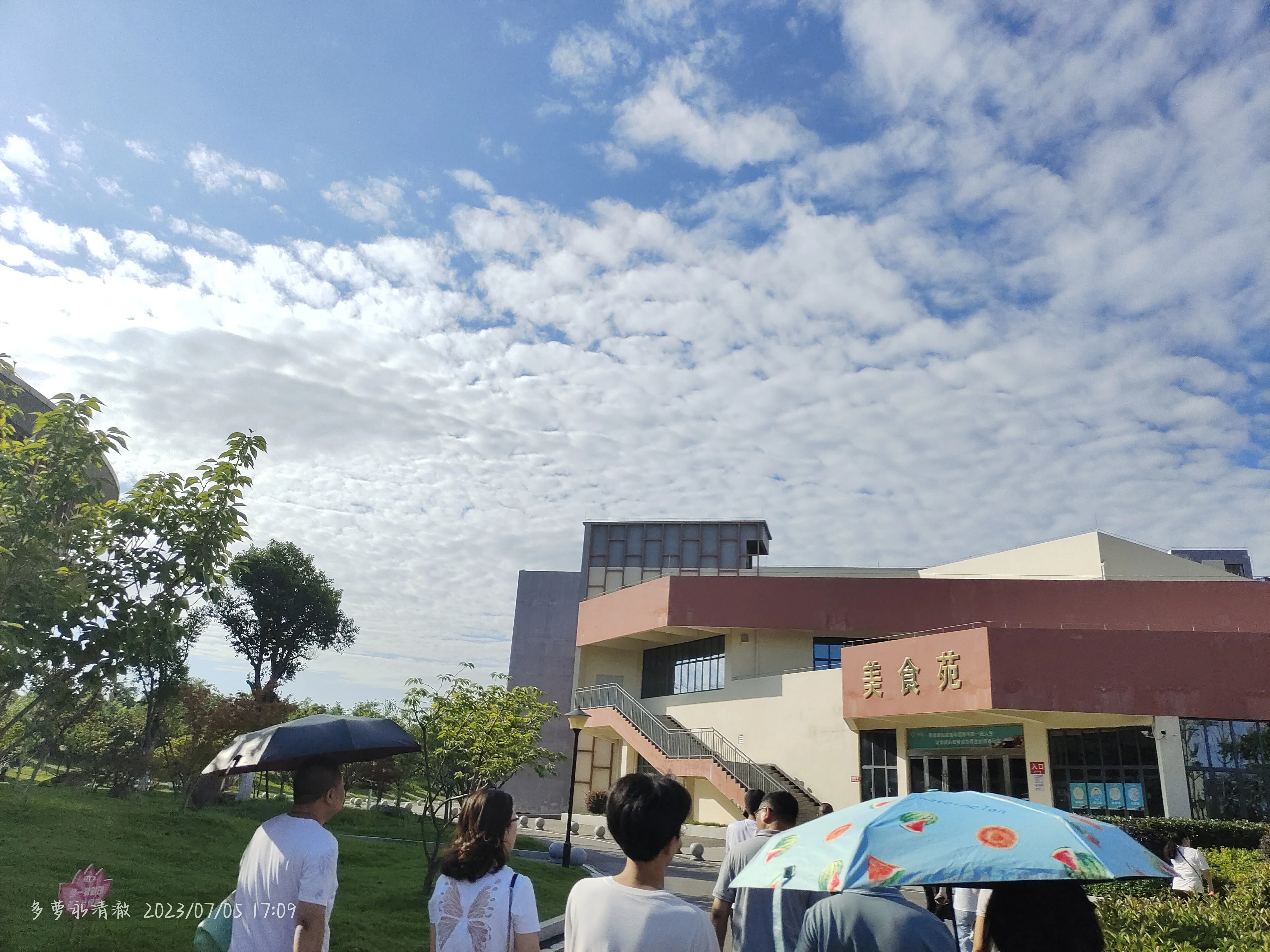 IMG_20230705_170943.webp