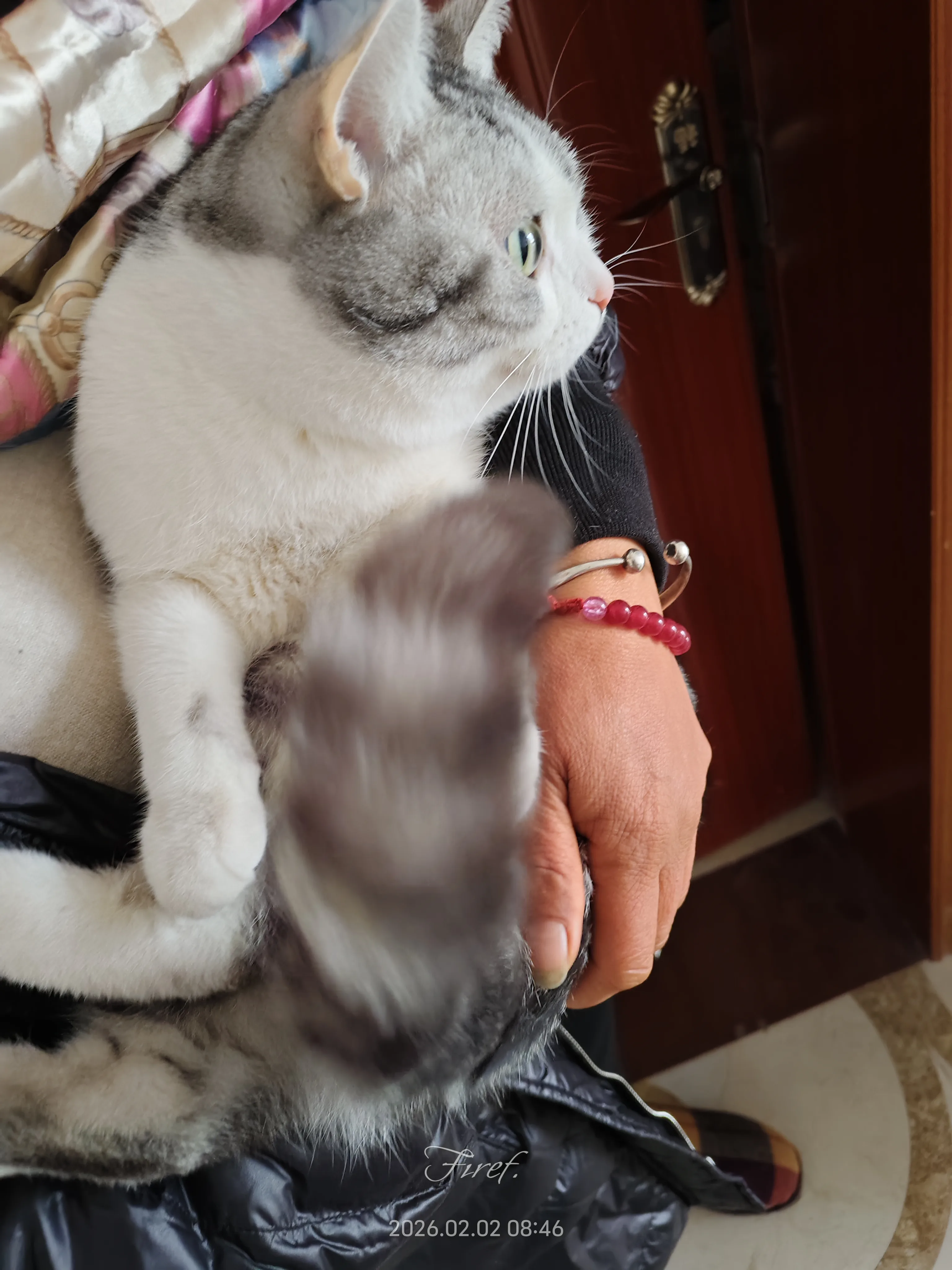 IMG_20260202_084642.webp