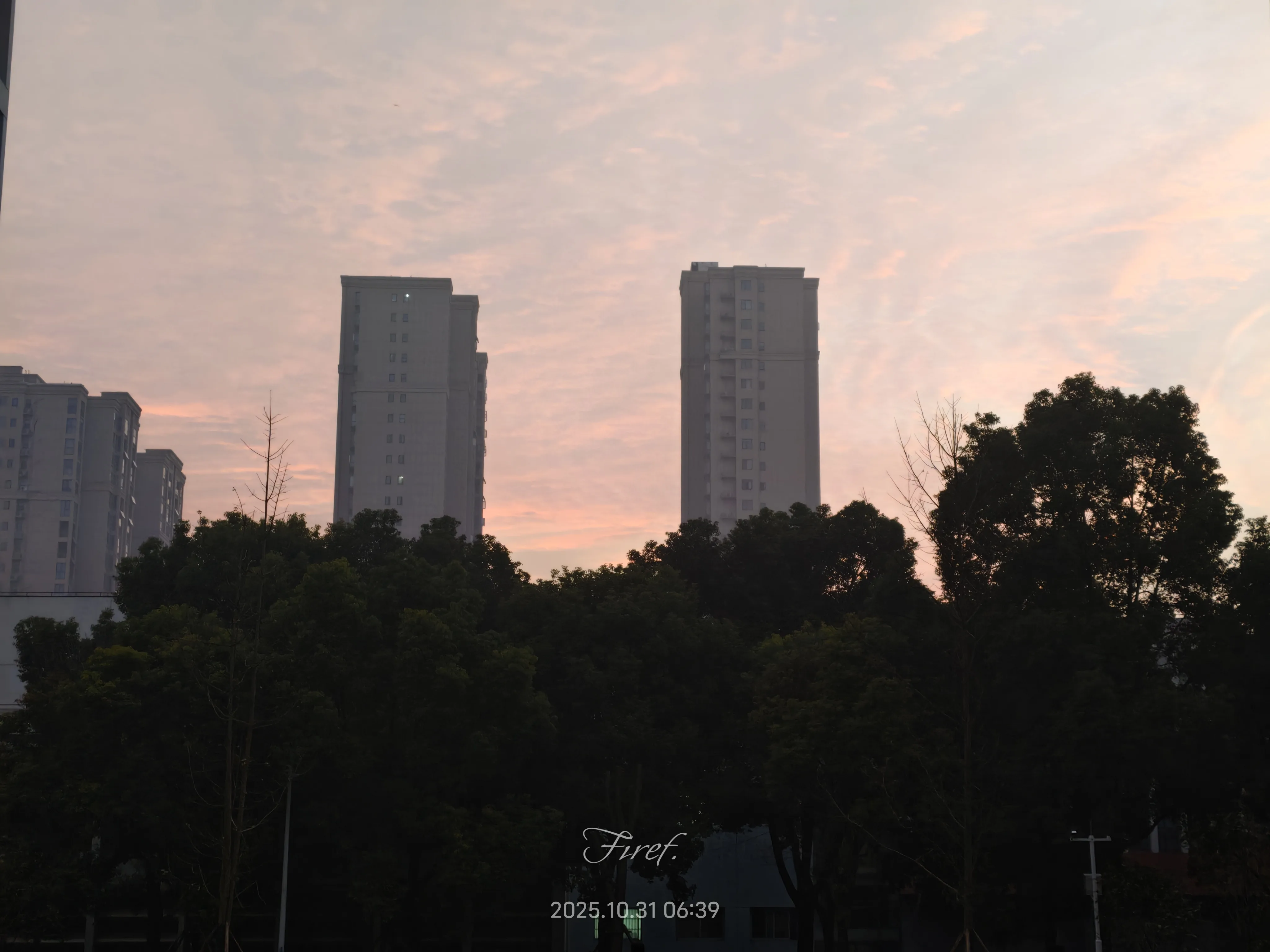IMG_20251031_063921.webp