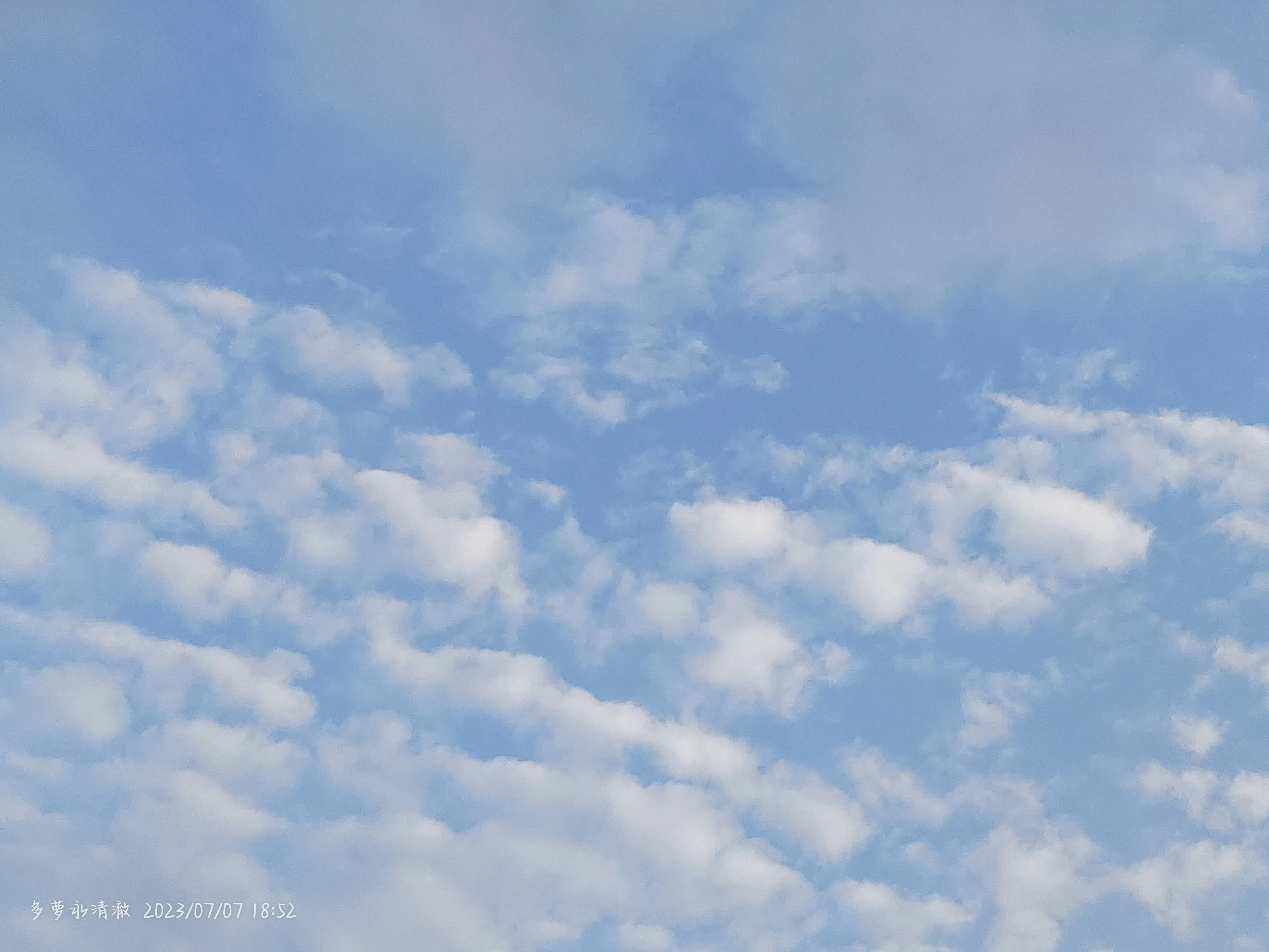 IMG_20230707_185259.webp