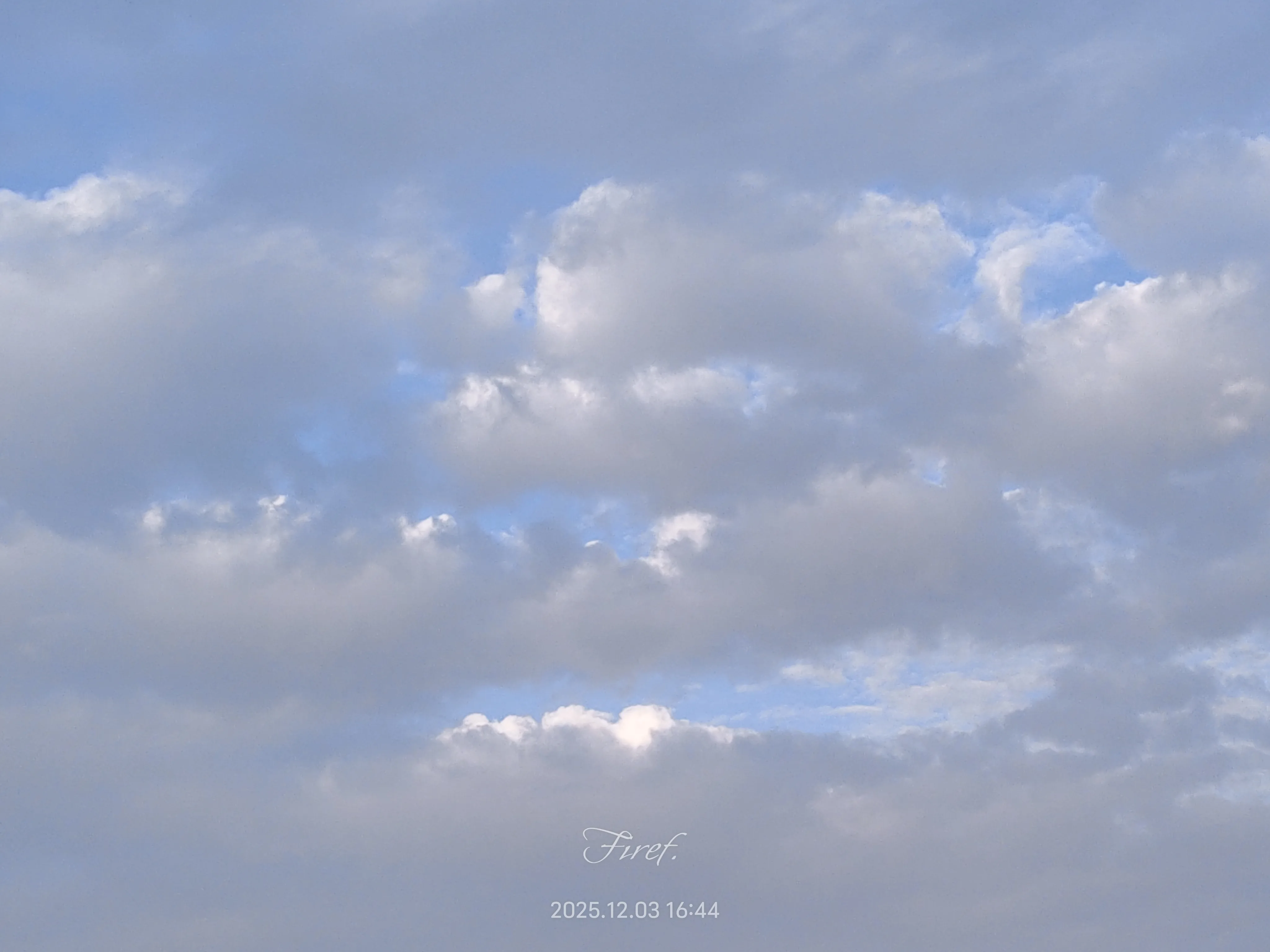 IMG_20251203_164425.webp