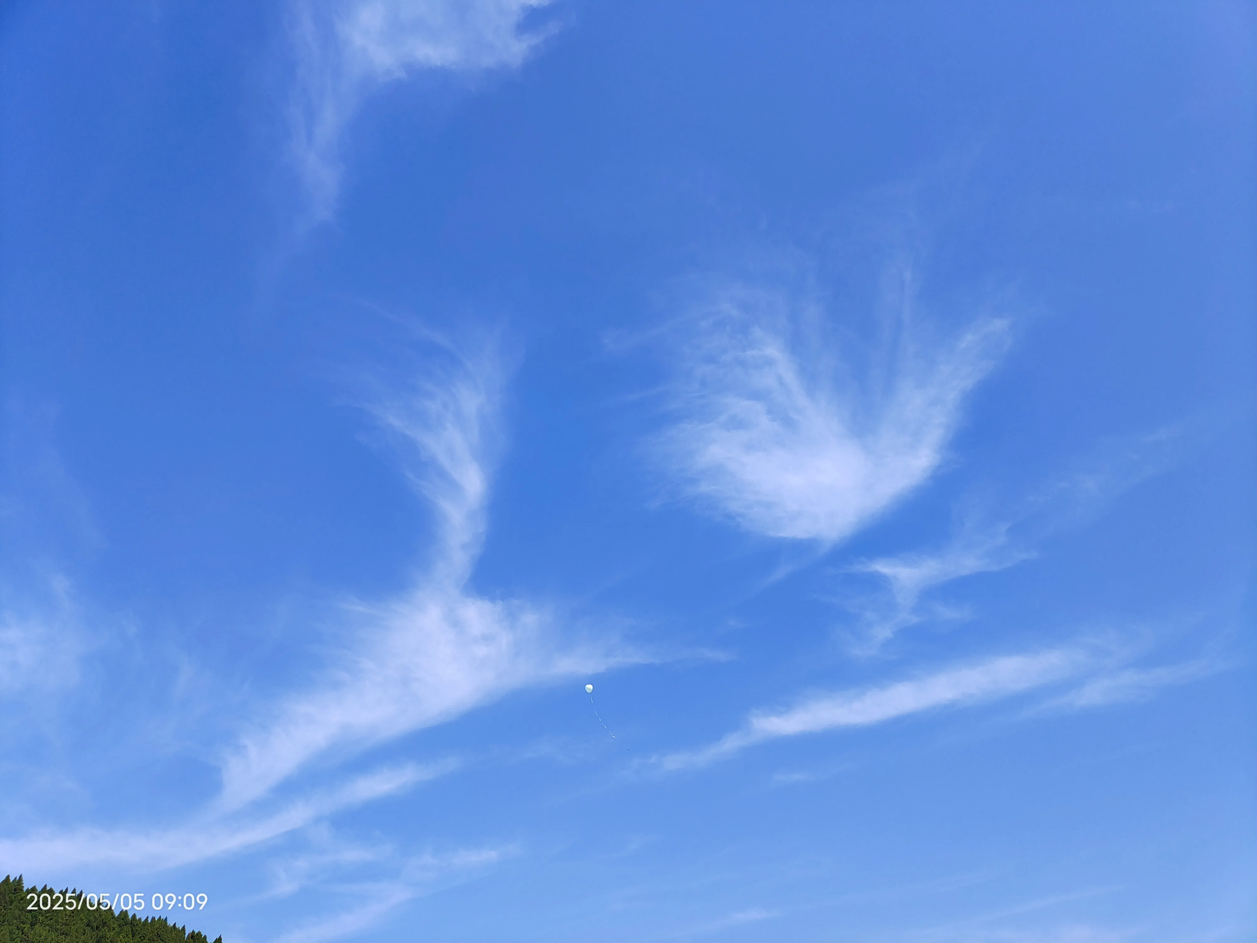 IMG_20250505_090915.webp